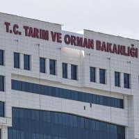 Tarım ve Orman Bakanlığı 1.874 Sözleşmeli Personel Alacak: Başvuru Şartları ve Kadro Dağılımı