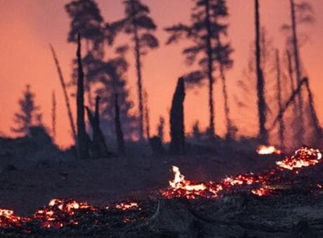 Almanya'da orman yangını kabusu: Strass köyü alevlere teslim, bin 800 kişi evlerini terk etmek zorunda kaldı