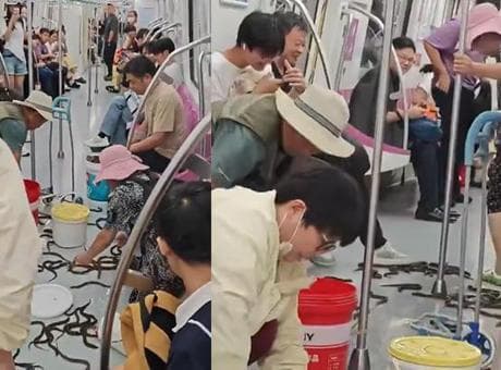 Çin'de metro yolculuğu kabusa döndü: Devrilen kova onlarca canlı yılan balığını vagona saçtı