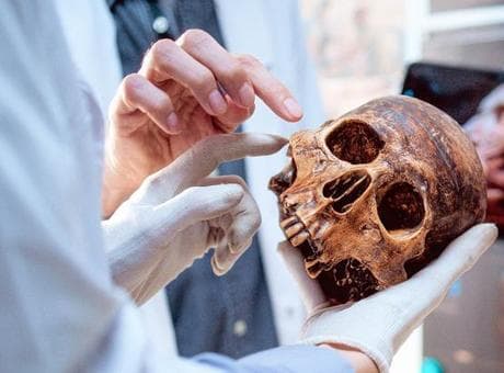 Son dakika...Yıllardır kimse fark etmedi! Bilim dünyası şokta: 'Yeni organ keşfedildi'